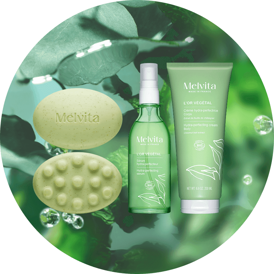 HOLIDAY COLLECTION 2025