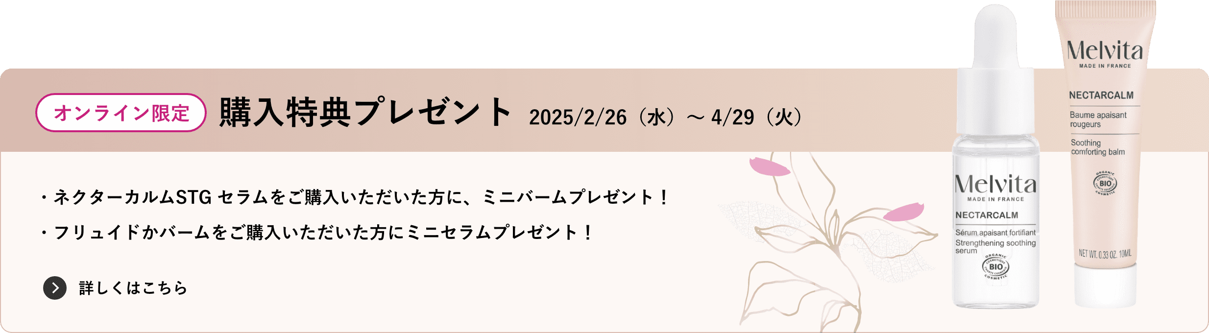 【オンライン限定】購入特典プレゼント（2025/2/26（水）〜 4/29（火））