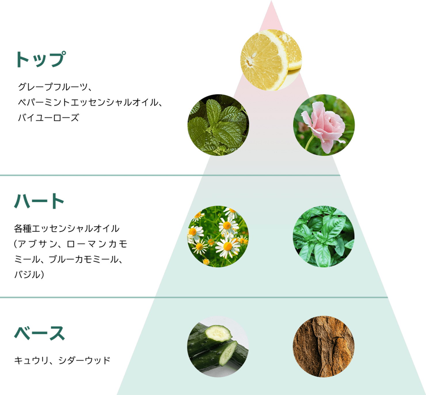 ネクターピュアスペシャルサイト