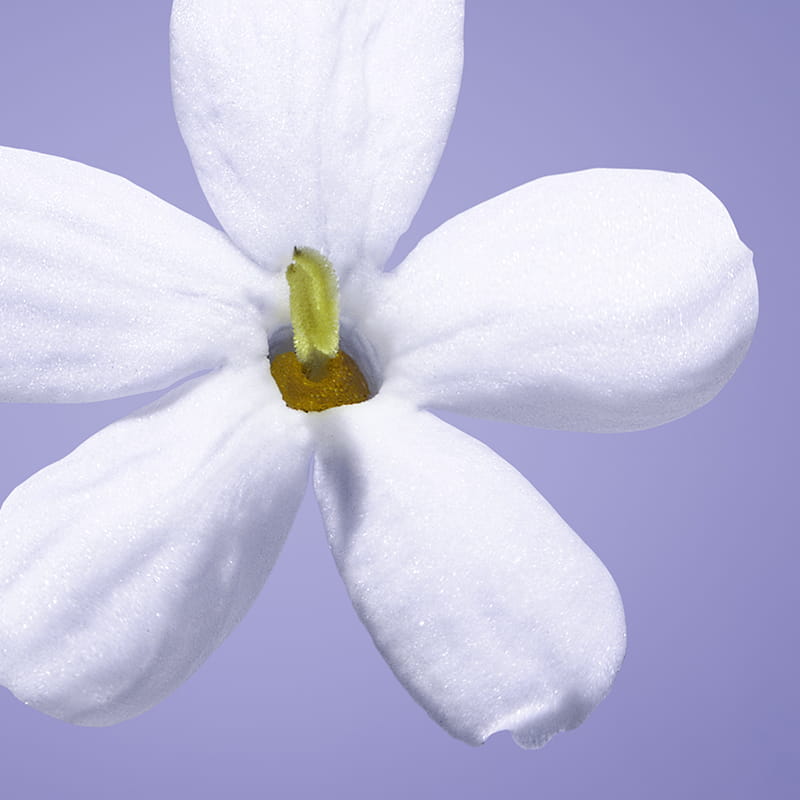 ユニバーサルクリーム ハニーフラワー 100ml ｜フェイスクリーム｜メル